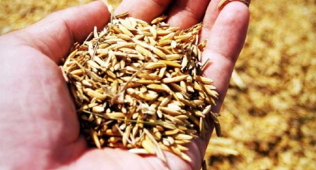 වී මිලට ගන්නා අවම මිල ප්‍රකාශයට පත්කෙරේ.